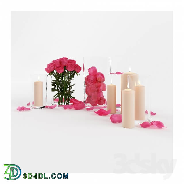 Plant - Decorative set