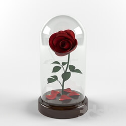 Plant - Rose in a flask 