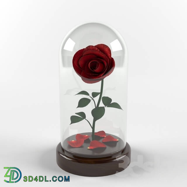 Plant - Rose in a flask