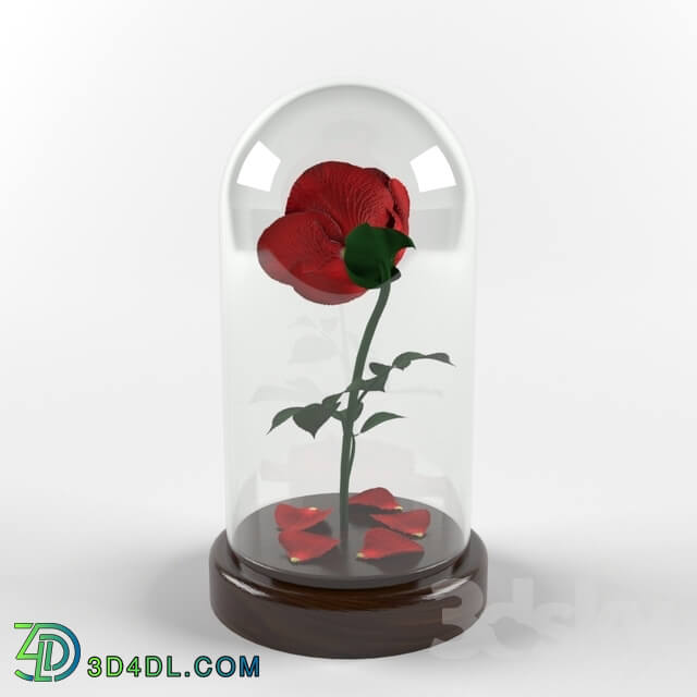 Plant - Rose in a flask
