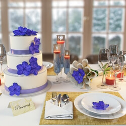 Tableware - Wedding table setting 