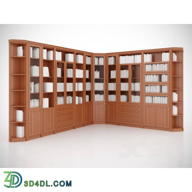 Wardrobe _ Display cabinets - Library