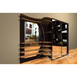 Wardrobe _ Display cabinets - Hall 