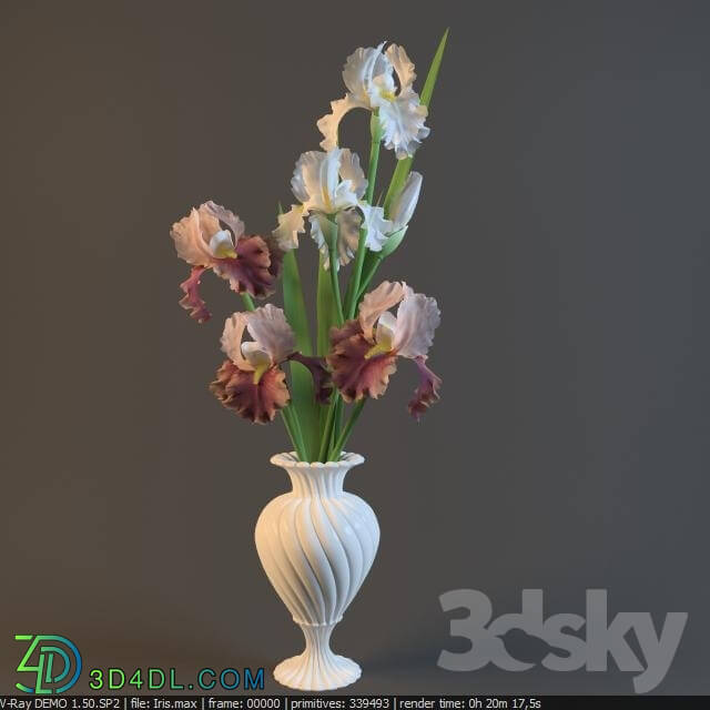 Plant - Irises in a vase