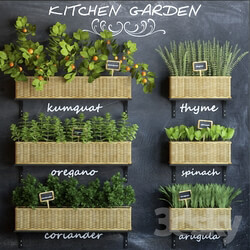 Other kitchen accessories - Kitchen garden 3 