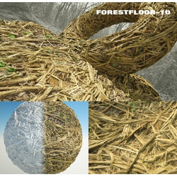 RD-textures Forest Floor 10 