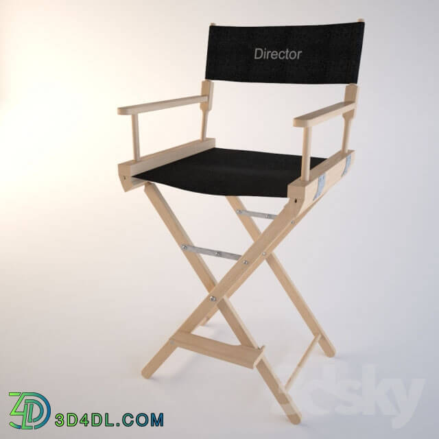 Chair - Director chair