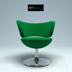 Arm chair - Ipe Cavalli_ COCO 