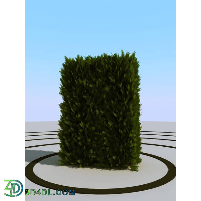 3dMentor HQPlants-02 (042) thuja hedge