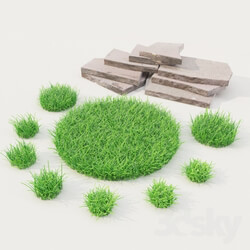 Plant - lawn grass with stones 