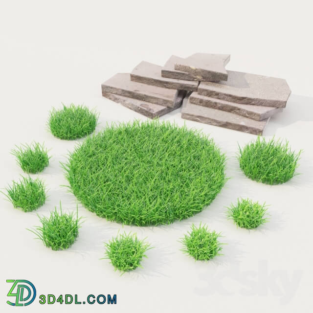 Plant - lawn grass with stones