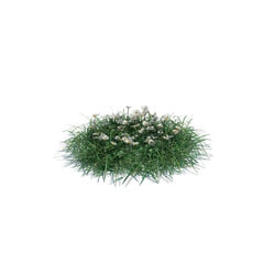 ArchModels Vol126 (005) simple grass medium v2 