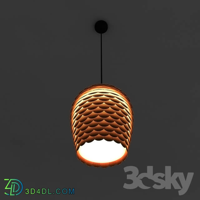 Ceiling light - Ceiling light