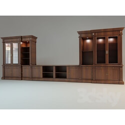 Wardrobe _ Display cabinets - classic library 