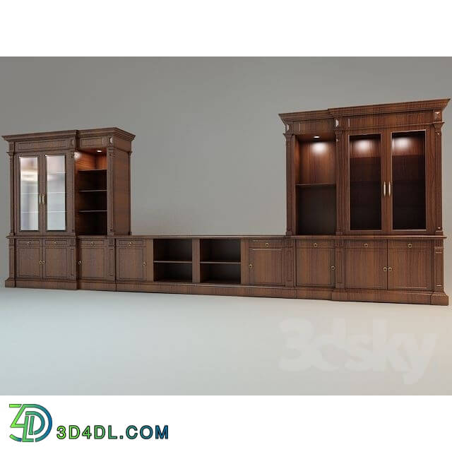 Wardrobe _ Display cabinets - classic library