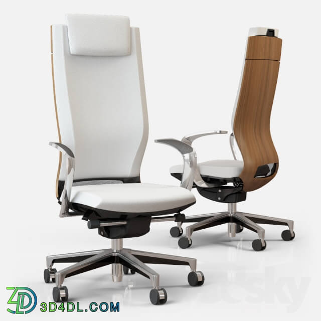 Office furniture - Office chair Moteo79