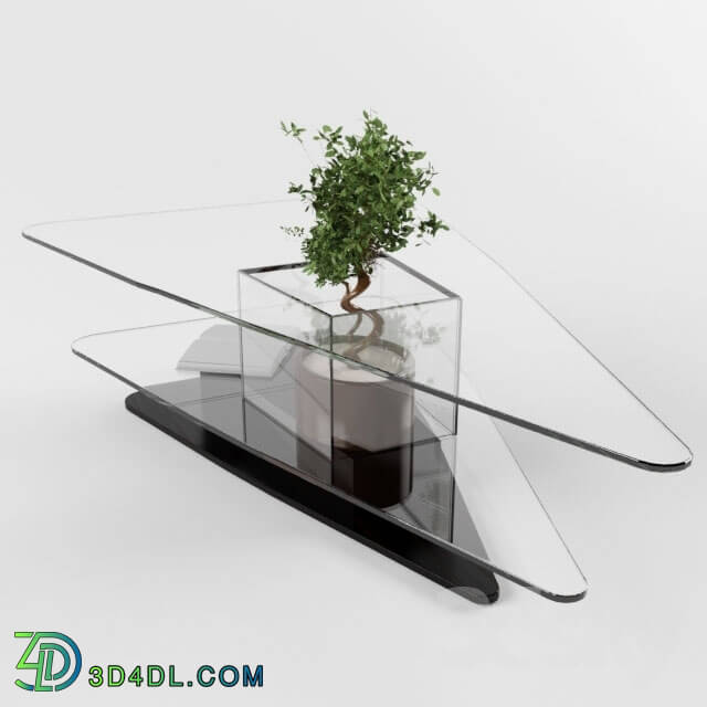 Table - Table glass under the order. For plants.