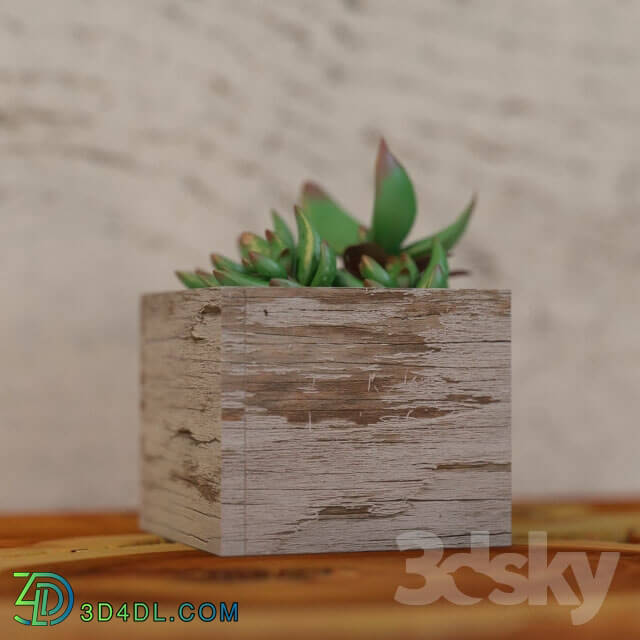 Table - Live Edge Reclaimed Teak Root Wood Pedestal