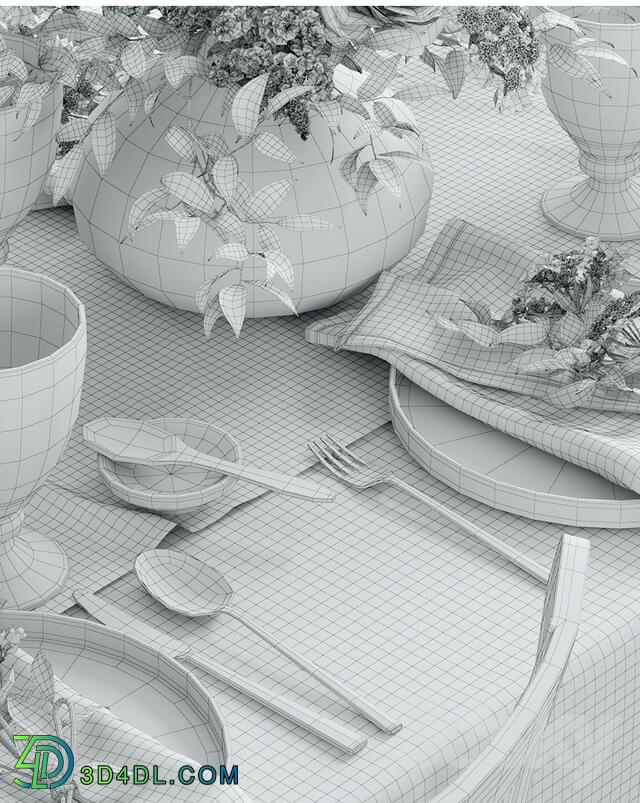 Tableware - Laying 3