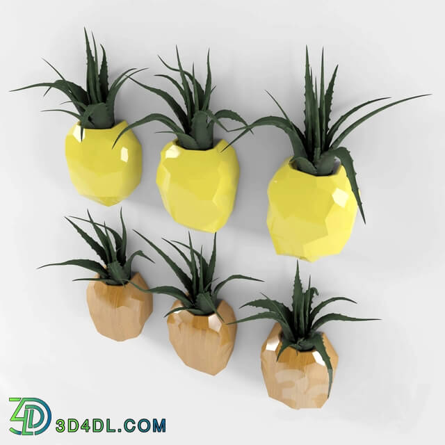 Plant - Pineapple Air Plant Magnet