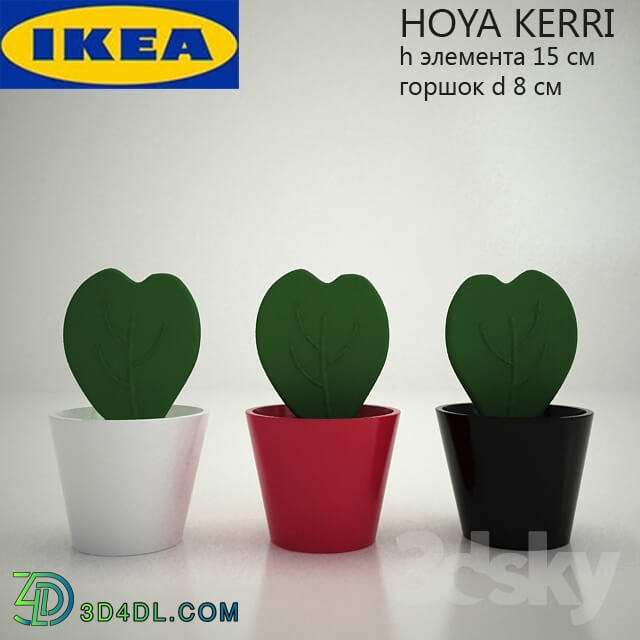 Vase - IKEA _ hoya kerri