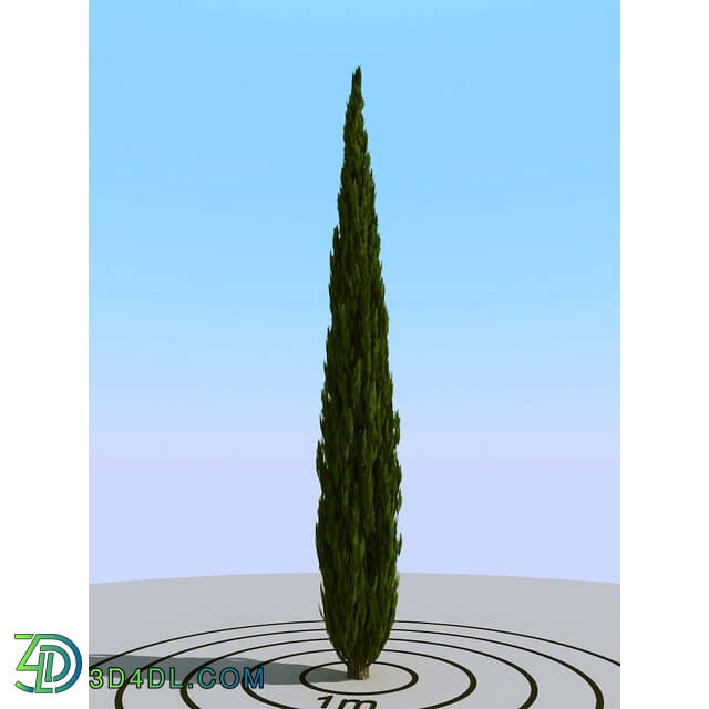 3dMentor HQPlants-02 (089) cypress 2