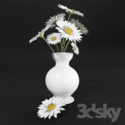 Plant - Daisies in a vase 
