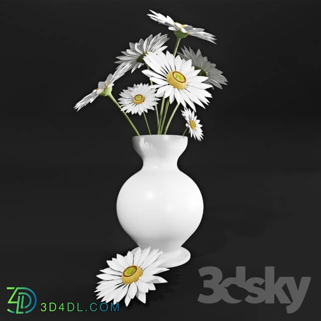 Plant - Daisies in a vase