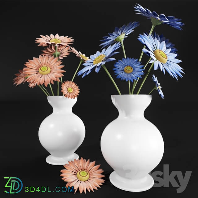 Plant - Daisies in a vase