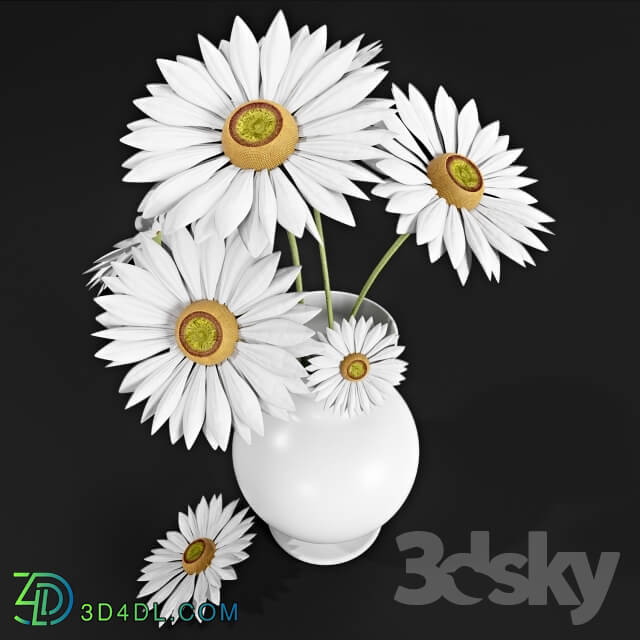 Plant - Daisies in a vase