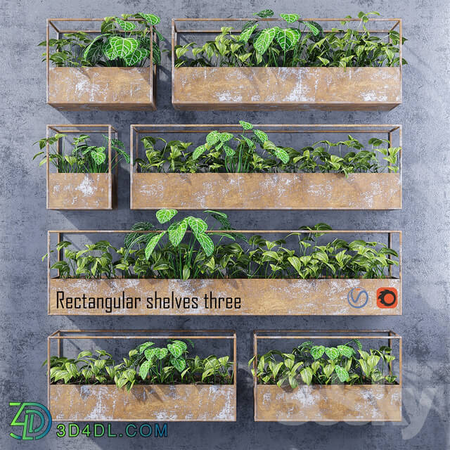 Plant - Rectangular shelves three