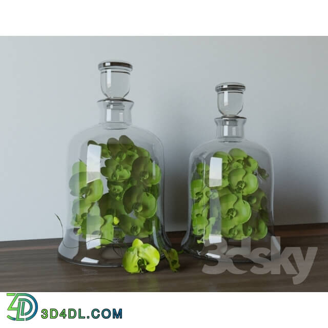 Vase - Decanters with Greens