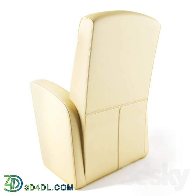 Arm chair - Armchair 1