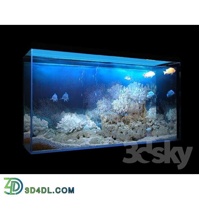 Other decorative objects - Aquarium