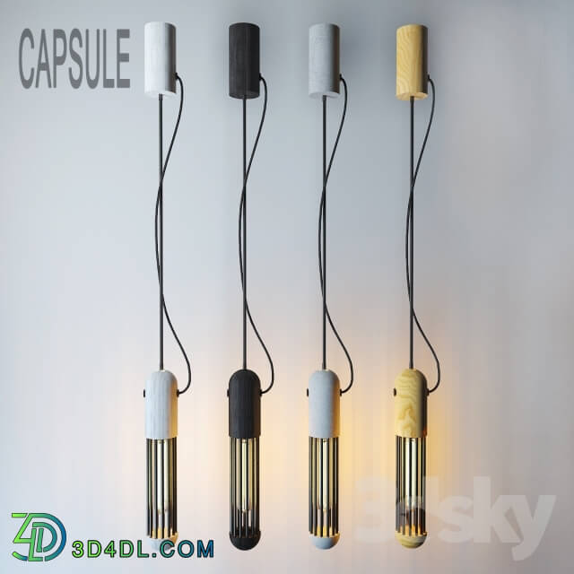 Ceiling light - CAPSULE_LIGHT