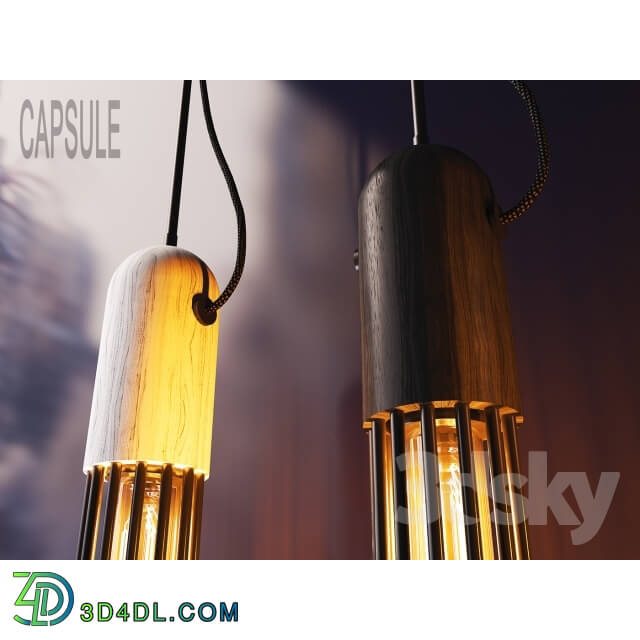 Ceiling light - CAPSULE_LIGHT