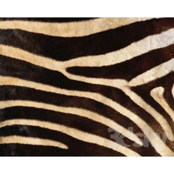 Natural materials - the texture of the zebras 