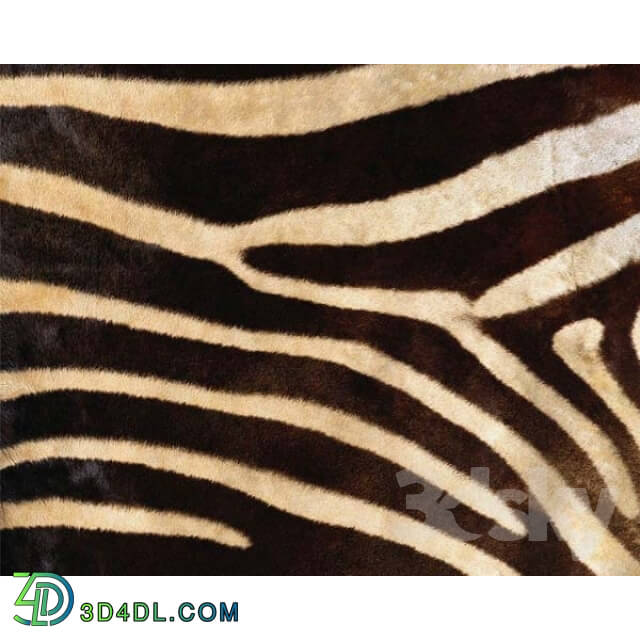 Natural materials - the texture of the zebras