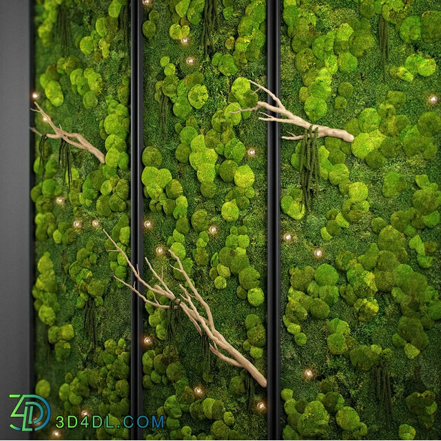 Plant - panel moss wall