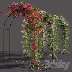 Other architectural elements - Arch with roses 