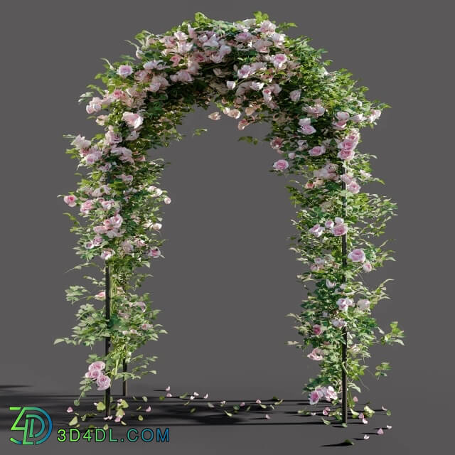 Other architectural elements - Arch with roses