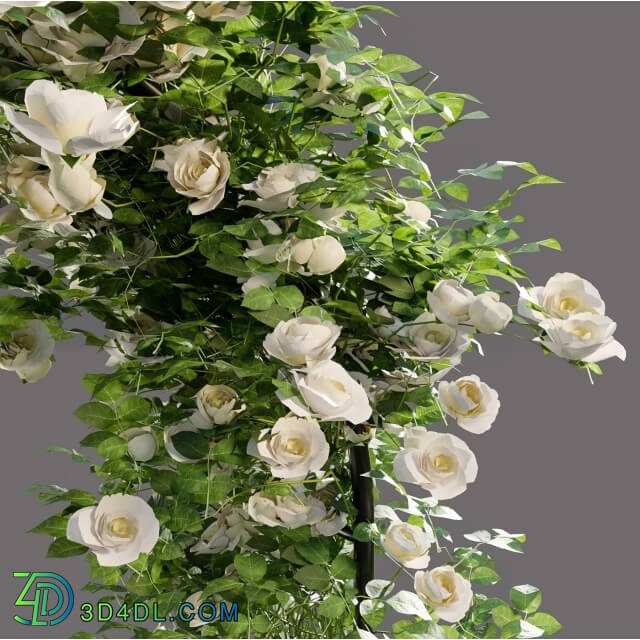 Other architectural elements - Arch with roses