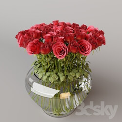 Plant - ROSES IN VASE 