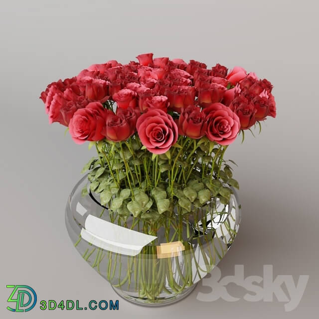 Plant - ROSES IN VASE