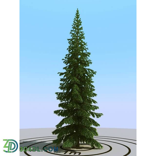 3dMentor HQPlants-02 (094) fir 5