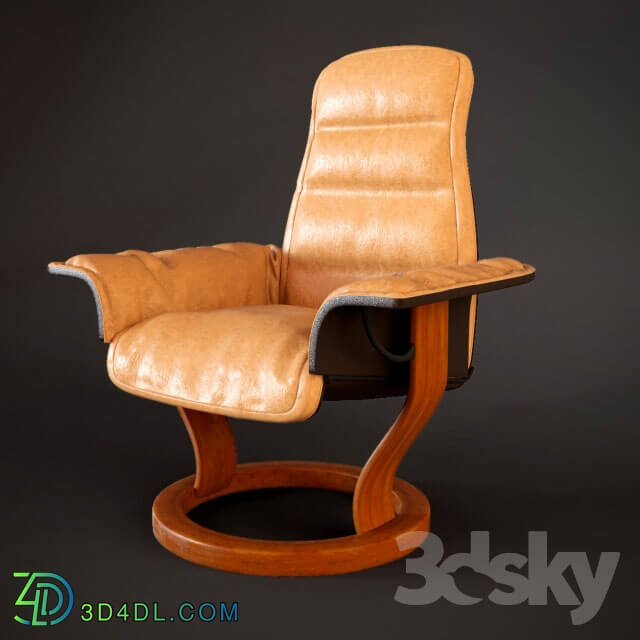 Arm chair - Armchair