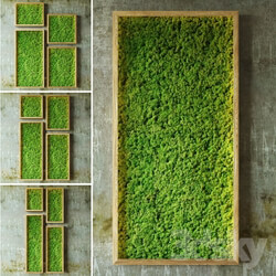 Plant - Moss walls 