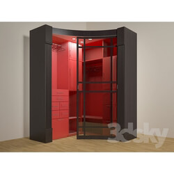 Wardrobe _ Display cabinets - Wardrobe komnata2 