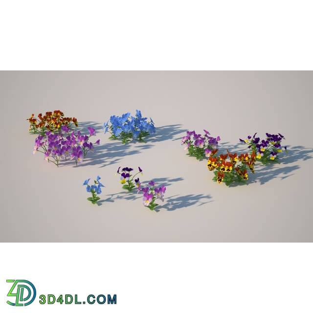 3dMentor HQFlowers2 HD Viola (01)