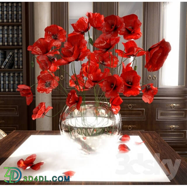 Plant - poppies in a vase